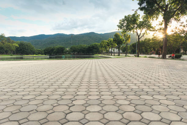 Best Local Driveway Pavers  in Chaffee, MO